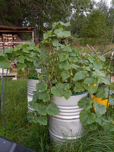 DSCN3086.JPG