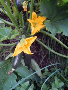 DSCN3090.JPG