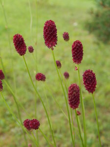 DSCN3103.JPG