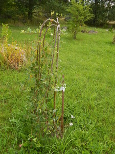 DSCN3128.JPG