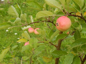DSCN3129.JPG