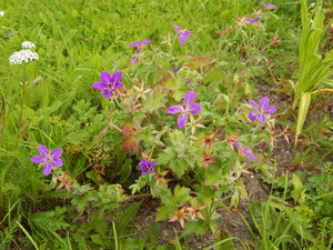 DSCN3155.JPG