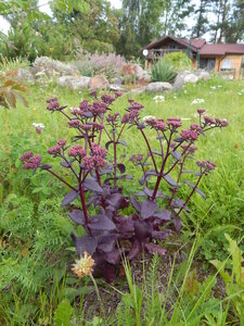 DSCN3157.JPG