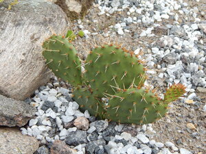 DSCN3163.JPG