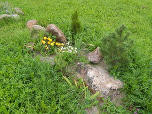 DSCN3110.JPG