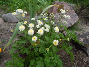 DSCN3215.JPG