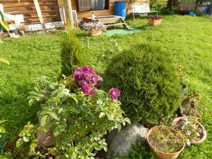 DSCN3190.JPG