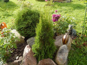 DSCN3203.JPG