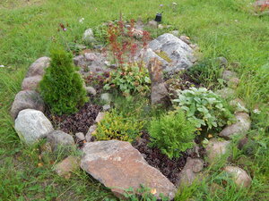 DSCN3106.JPG