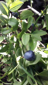 20200817_171324.jpg