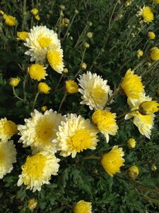 IMG_20200829_141350.jpg