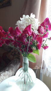 20200828_071838.jpg