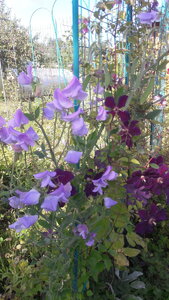 20200825_101619.jpg