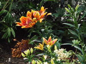 2020.09.05 Уч № 2 _ DSCF9248.JPG
