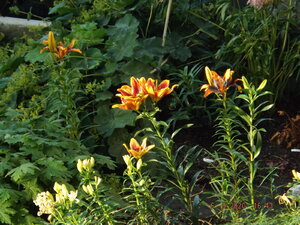 2020.09.06 Уч № 2 _ DSCF9263.JPG