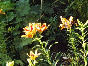 2020.09.06 Уч № 2 _ DSCF9266.JPG