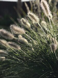 D7CB1204-A7D9-4E1F-810E-F26573BA9737.jpeg
