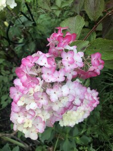9003CCDD-B332-4F39-BFE5-12BE0E870CE0.jpeg