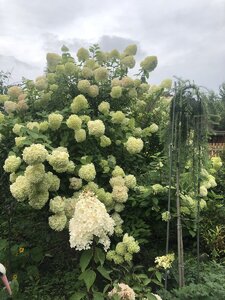 0BAA47A0-0BE7-485C-837C-C4F922E82078.jpeg