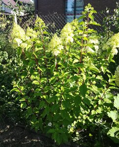 IMG_20200908_192641.jpg