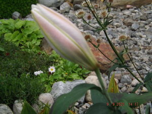 2020.09.09 Уч.№ 1  _ DSCF9334.JPG