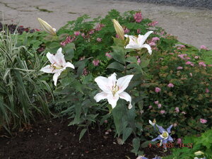 2020.09.09 Уч.№ 1 _  DSCF9298.JPG