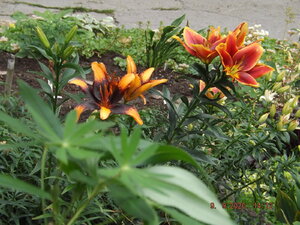 2020.09.09 Уч.№ 2 _ DSCF9316.JPG