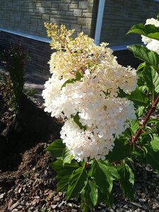 IMG_20200822_160058.jpg