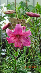 DSC00858.JPG