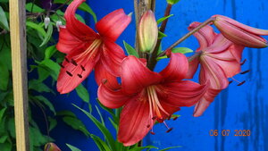 DSC00981.JPG