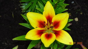 DSC01320.JPG