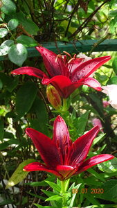 DSC01021.JPG
