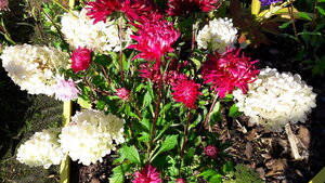 20200914_130024.jpg