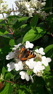 20200907_145116.jpg