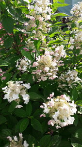 20200907_145135.jpg