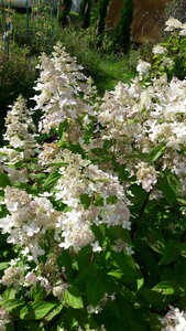 20200907_145308.jpg
