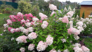 20200908_102520.jpg