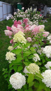 20200908_102550.jpg