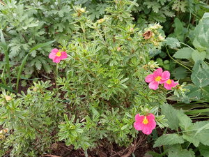IMG_20200913_090356.jpg