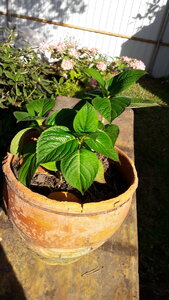20200921_125938.jpg