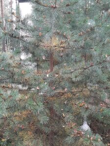 20200919_112814.jpg