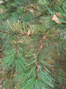 20200919_112833.jpg