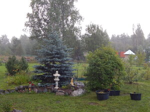 DSCN3310.JPG
