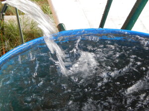 DSCN3316.JPG