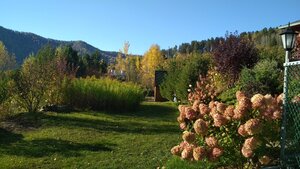 IMG_20200928_092813.jpg