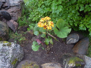 DSCN3412.JPG