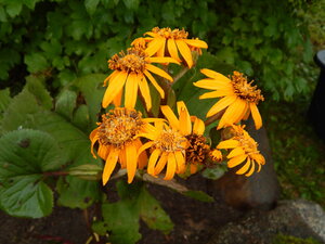 DSCN3413.JPG