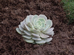 DSCN3330.JPG
