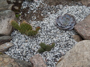 DSCN3365.JPG