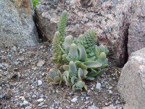 DSCN3366.JPG